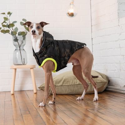 Image showing 6 th GF Pet Recycled Dog Parka
