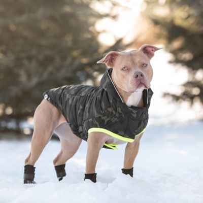 Image showing 7 th GF Pet Recycled Dog Parka