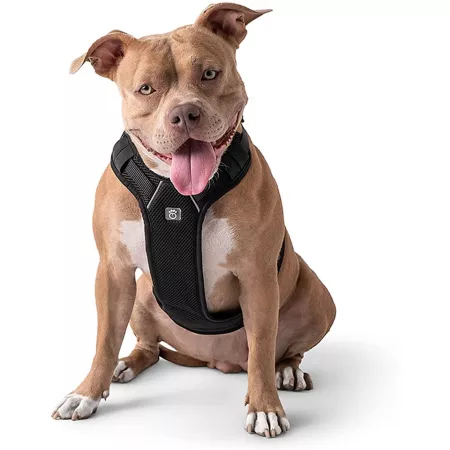 GF Pet Adjustable Dog Travel Harness Dog Basic Harnesses