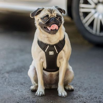 Image showing  Adjustable Dog Travel Harness