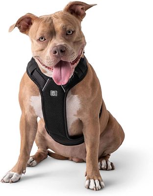 Image showing 1 th GF Pet Adjustable Dog Travel Harness
