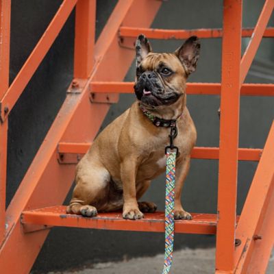 Image showing  Adjustable Printed Dog Collar
