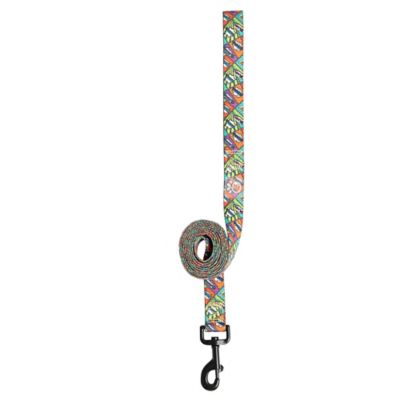 Image showing  Printed Nylon Dog Leash