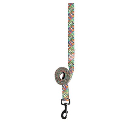 GF Pet Printed Dog Leash