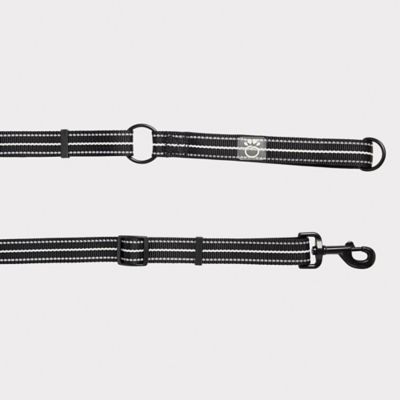 Image showing  Reflective Nylon Dog Leash