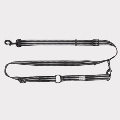 Image showing  Reflective Nylon Dog Leash