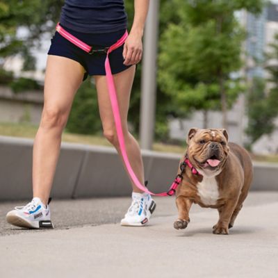 Image showing  Reflective Nylon Dog Leash