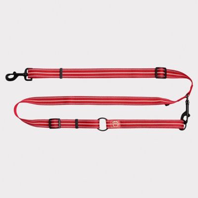 Image showing 1 th GF Pet Reflective Nylon Dog Leash