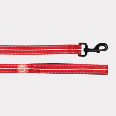 Image showing  Reflective Nylon Dog Leash