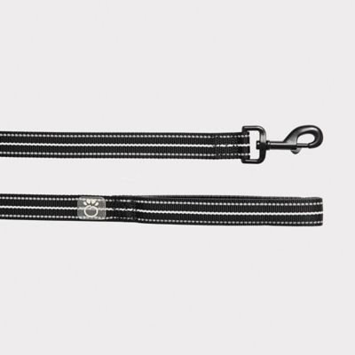 GF Pet Reflective Nylon Dog Leash