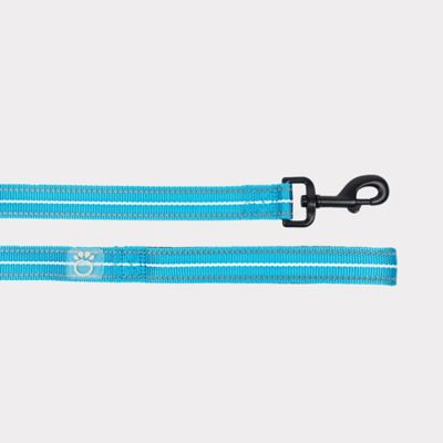 Image showing 0 th GF Pet Reflective Nylon Dog Leash