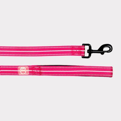 Image showing  Reflective Nylon Dog Leash