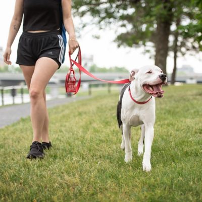 Image showing  Reflective Nylon Dog Leash