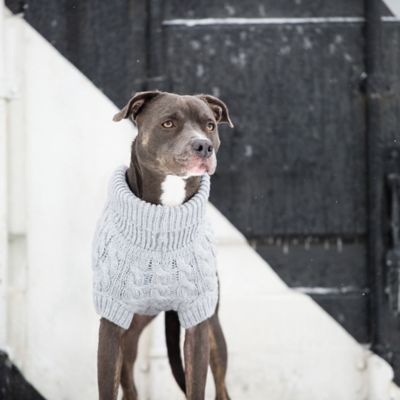 Image showing 3 th GF Pet Chalet Dog Sweater