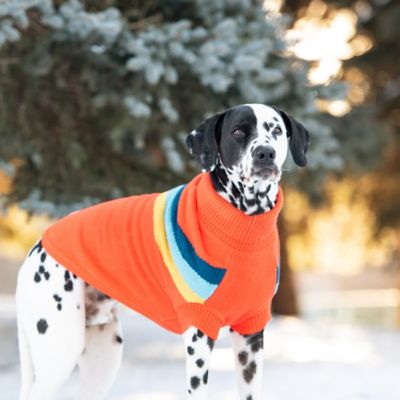 Image showing 3 th GF Pet Alpine Dog Sweater