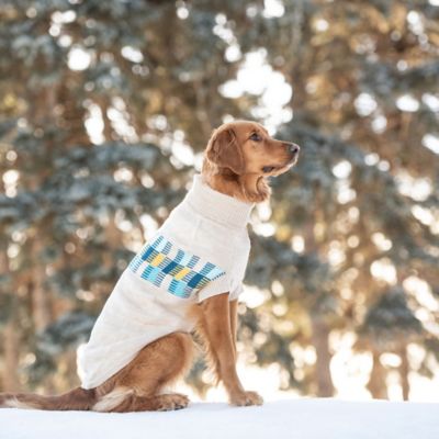 Image showing  Winter Sailor Dog Sweater
