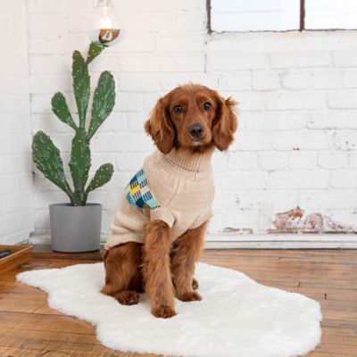 Image showing  Winter Sailor Dog Sweater