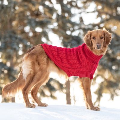 Image showing 5 th GF Pet Chalet Dog Sweater