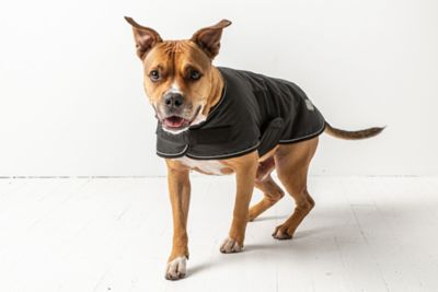 Image showing  Dog Blanket Jacket