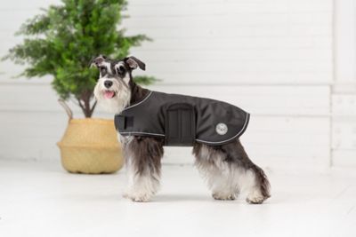 Image showing  Dog Blanket Jacket