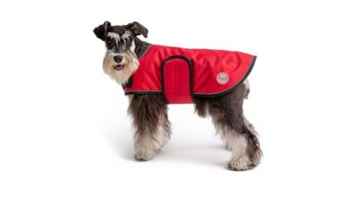 Image showing  Dog Blanket Jacket