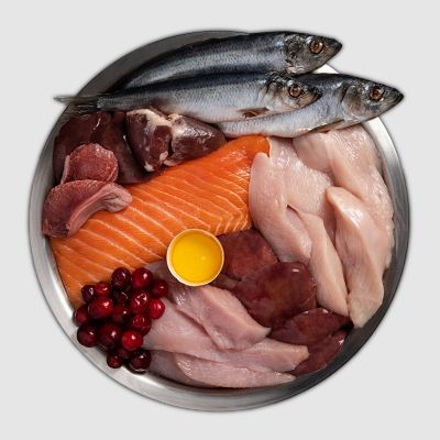 Image showing  Premium Kitten High-Protein Grain-Free Chicken, Turkey, Salmon and Herring Recipe Dry Cat Food, 4 lb. Bag