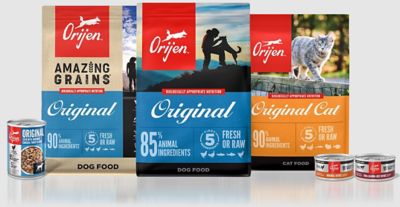Image showing  Premium Kitten High-Protein Grain-Free Chicken, Turkey, Salmon and Herring Recipe Dry Cat Food, 4 lb. Bag