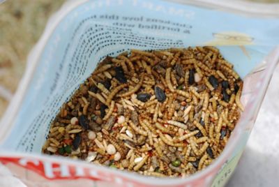 Image showing  Chicken Fun-Doo Non-GMO Soy-Free Chicken Treats, 3 lb.