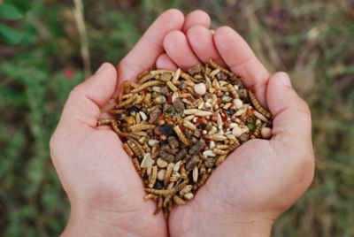 Image showing  Chicken Fun-Doo Non-GMO Soy-Free Chicken Treats, 3 lb.