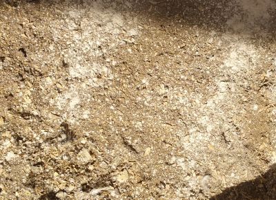 Image showing  Coop Right Natural Poultry Dust Bath