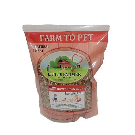 Little Farmer Products Homegrown Bugs Black Soldier Fly Grubs and Grains Chicken Snacks, 3 lb.