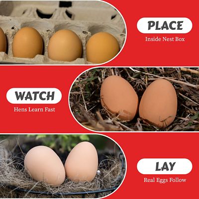 Image showing  Rubber Nest Eggs, 2 pk.