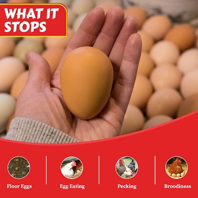 Image showing  Rubber Nest Eggs, 2 pk.