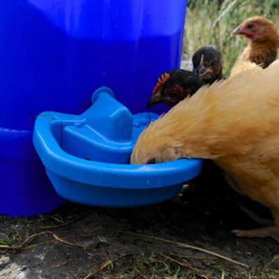 Image showing 5 th BEC 1 pt. MaxiCup Semi-Automatic Poultry Drinker Cup