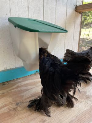 Image showing  5 lb. V-Feedr No Waste Poultry Feeder