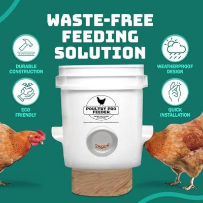 Image showing  Poultry Pro Feeder Kit, 3-Pack