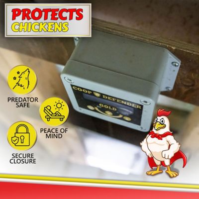 Image showing  Automatic Chicken Coop Door Opener with Metal Door, CDMDK