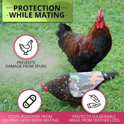 Image showing  Hen Mating Saddle, Standard