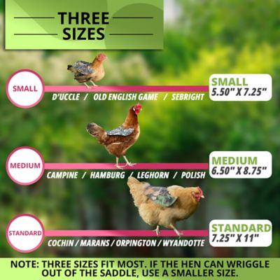 Image showing  Hen Mating Saddle, Standard