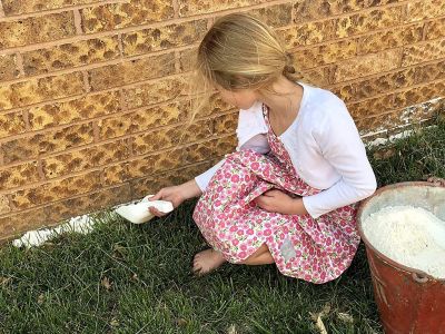 Image showing 5 th First Saturday Lime 20 lb. Natural Monthly Pest Insect Repellent