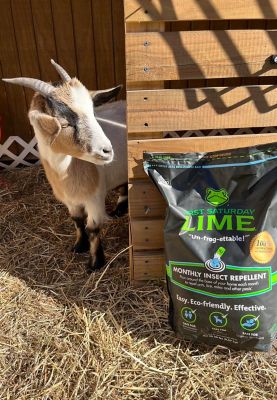 Image showing 7 th First Saturday Lime 20 lb. Natural Monthly Pest Insect Repellent