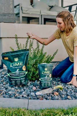 Image showing 9 th First Saturday Lime 20 lb. Natural Monthly Pest Insect Repellent