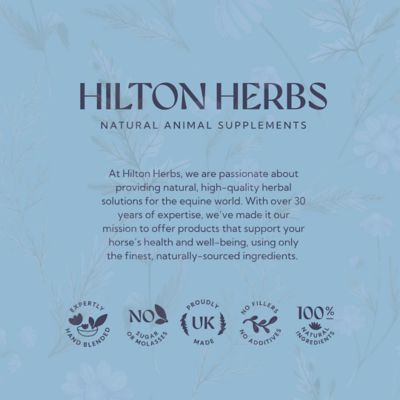 Image showing  Freeway Dry Herbal Horse Respiratory Supplement, 2.2 lb.