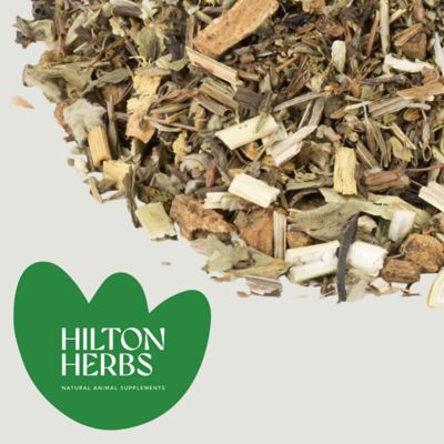 Image showing 7 th Hilton Herbs Freeway Dry Herbal Horse Respiratory Supplement, 2.2 lb.