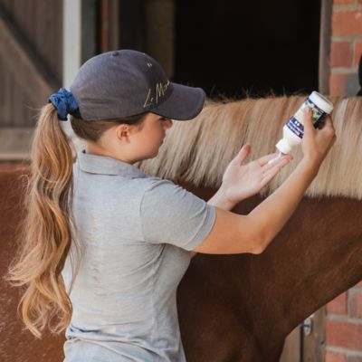 Image showing  Bye Bye Itch Lotion for Horses