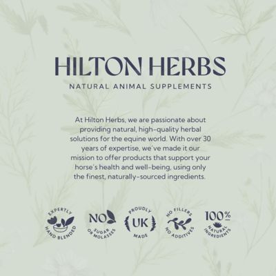 Image showing 5 th Hilton Herbs Bye Bye Itch Lotion for Horses