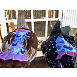 Poultry Mating Saddles