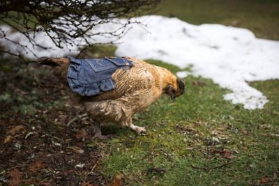 Image showing 5 th Hen Couture Hen Saddle, Denim with Pocket