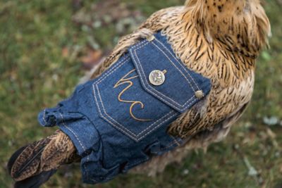 Image showing 6 th Hen Couture Hen Saddle, Denim with Pocket