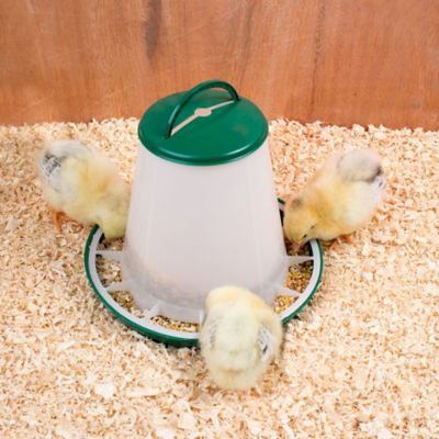 Image showing  7 lb. Poultry Hopper Feeder